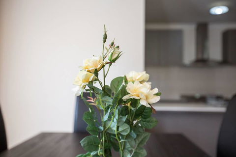 Holiday Rose - Accommodation Mt Buller 8
