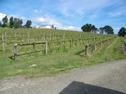 De\'Vine Escape - Accommodation Mt Buller 30