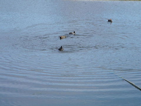 De\'Vine Escape - Accommodation Mt Buller 21