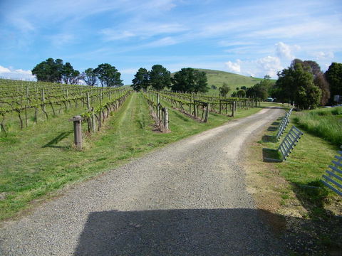 De\'Vine Escape - Accommodation Mt Buller 24