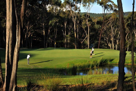 RACV Goldfields Resort - Accommodation Mt Buller 12
