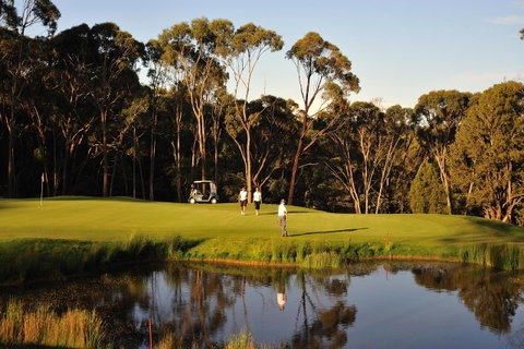 RACV Goldfields Resort - Accommodation Mt Buller 31