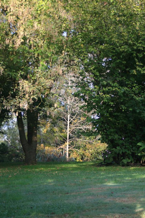 Strathmore Farm B&B - Accommodation Mt buller 26