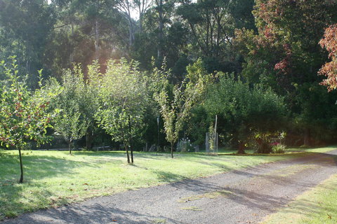 Strathmore Farm B&B - Accommodation Mt buller 33