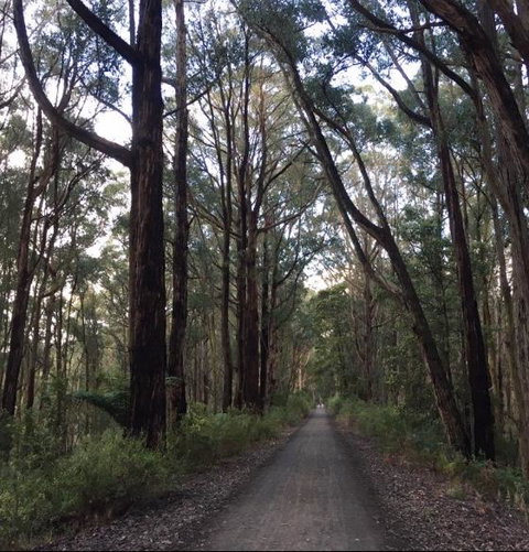 Strathmore Farm B&B - Accommodation Mt buller 4