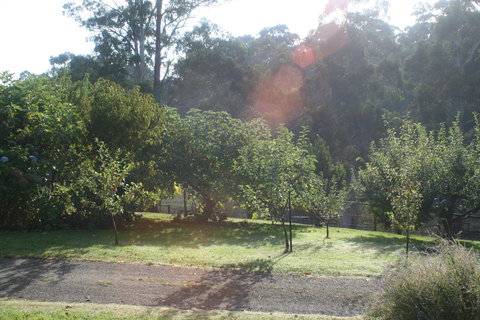 Strathmore Farm B&B - Accommodation Mt buller 19