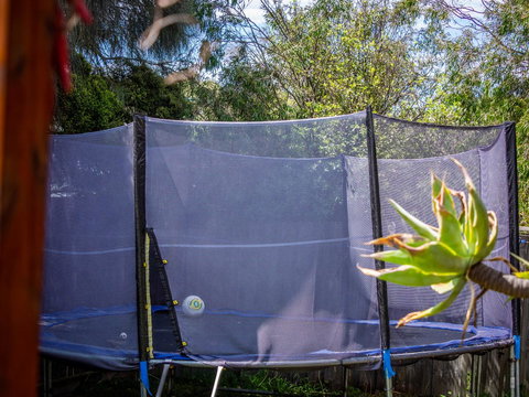 Blairgowrie Moonah Beach House: Walk To Beach - Accommodation Mt buller 6