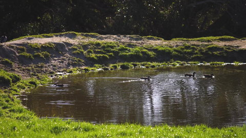 Limosa Rise - Accommodation Mt Buller 15