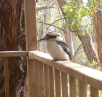 The Ledge Holiday House - Accommodation Mt Buller