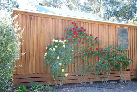 Bluegum Ridge Cottages - Accommodation Mt Buller 23