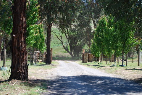 Bluegum Ridge Cottages - Accommodation Mt Buller 3