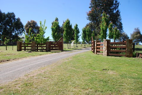 Bluegum Ridge Cottages - Accommodation Mt Buller 2