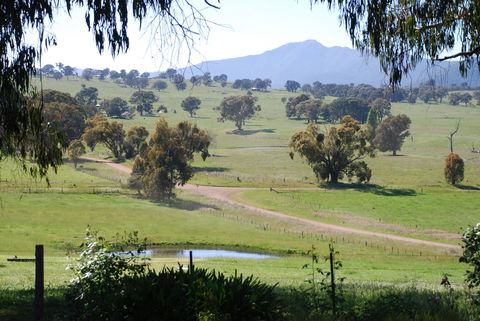 Bluegum Ridge Cottages - Accommodation Mt Buller 31