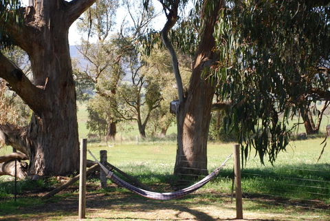 Bluegum Ridge Cottages - Accommodation Mt Buller 28