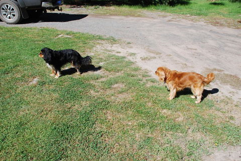 Bluegum Ridge Cottages - Accommodation Mt Buller 6