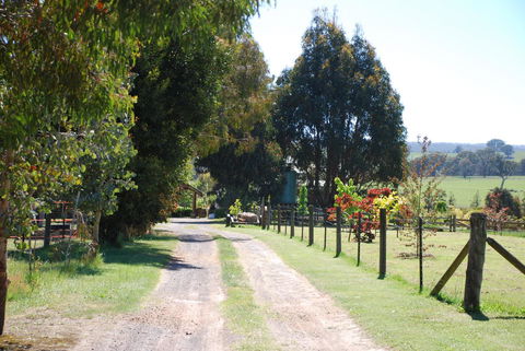 Bluegum Ridge Cottages - Accommodation Mt Buller 4