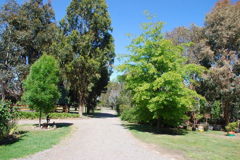 Bluegum Ridge Cottages - Accommodation Mt Buller 5