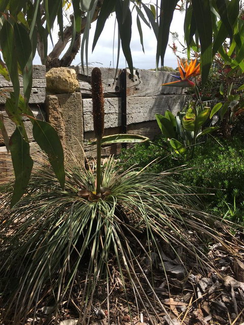 The PC Cottage - Accommodation Mt buller 32