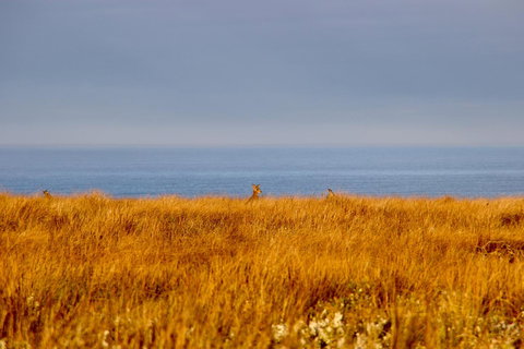 The PC Cottage - Accommodation Mt buller 39