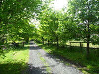 Book Wonga Park Accommodation Vacations Accommodation Mt Buller Accommodation Mt Buller