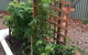 Grampians Pomonal Cottages - thumb 28