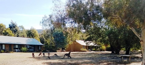 Grampians Pomonal Cottages - Accommodation Mt Buller 6