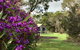 Grampians Pomonal Cottages - thumb 21