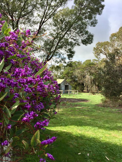Grampians Pomonal Cottages - Accommodation Mt Buller 21