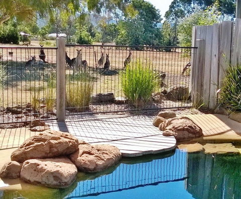 Grampians Pomonal Cottages - Accommodation Mt Buller 24