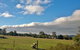 Grampians Pomonal Cottages - thumb 29