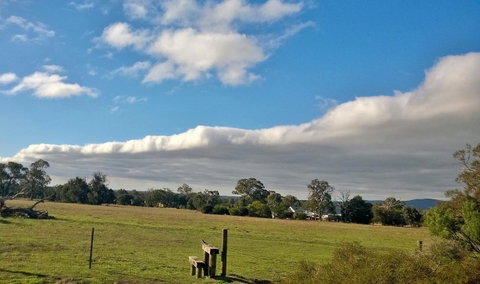 Grampians Pomonal Cottages - Accommodation Mt Buller 29