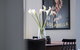 LittleStay Airlie - 2 Bedroom House - thumb 17