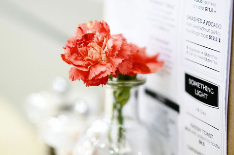 Madison Plaza Townsville - Accommodation Mt Buller 20