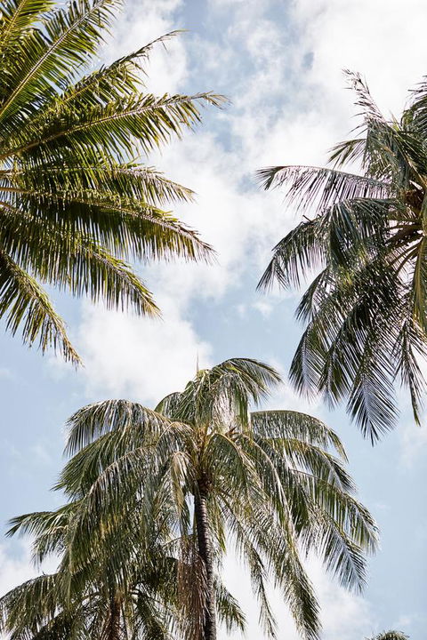 Novotel Cairns Oasis Resort - Accommodation Mt Buller 9