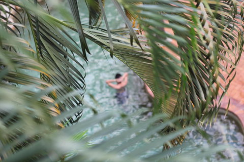 Coral Tree Inn - Accommodation Mt buller 36