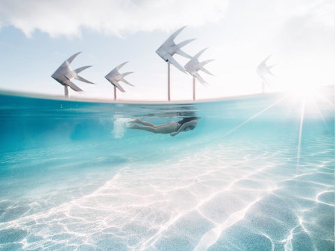 Coral Tree Inn - Accommodation Mt buller 39