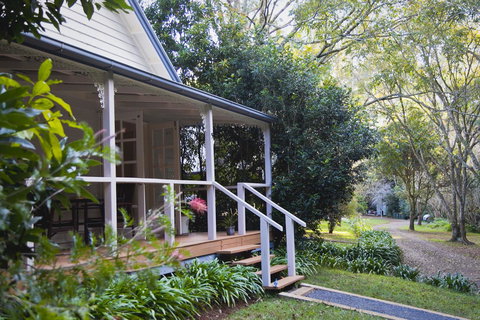 Curtis Falls Cottage - Accommodation Mt Buller 15
