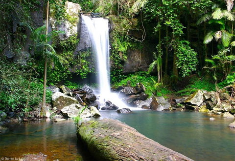 Curtis Falls Cottage - Accommodation Mt Buller 22