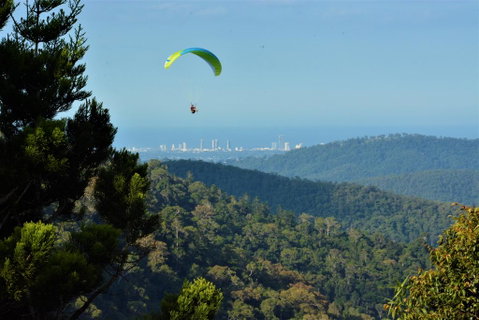 Willow Cabin - Accommodation Mt buller 1