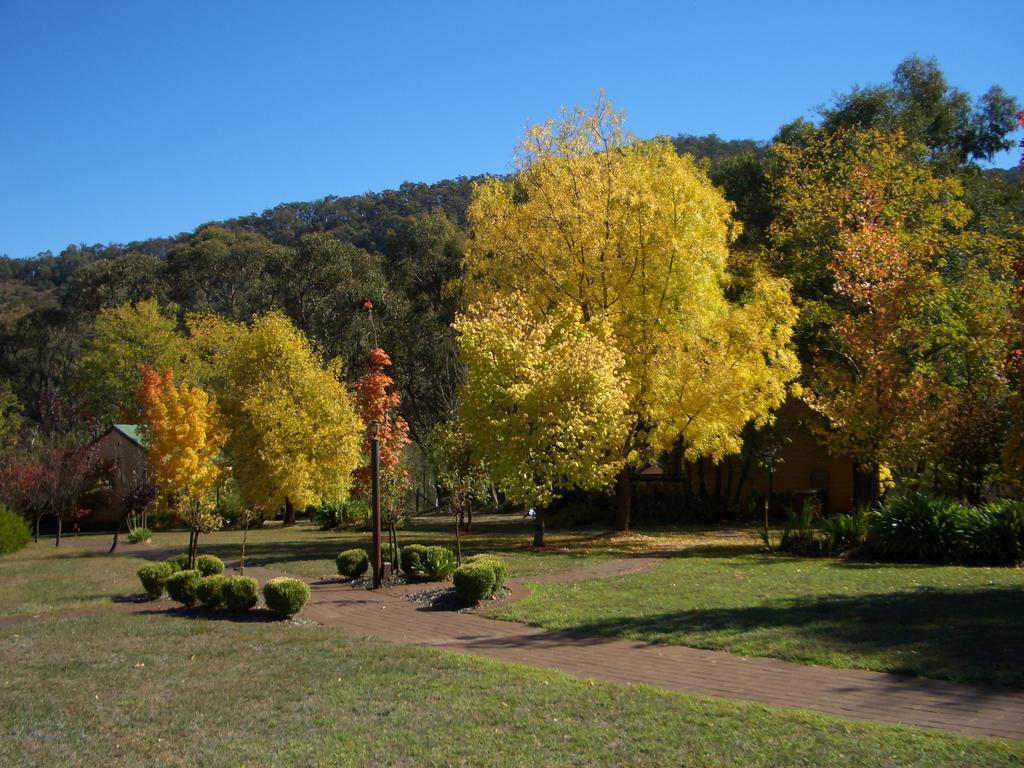 Woods Point ACT Accommodation Mt Buller