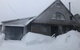 Alpine Star - thumb 0