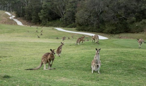 Anglesea River Apartment 23 - Accommodation Mt Buller 4