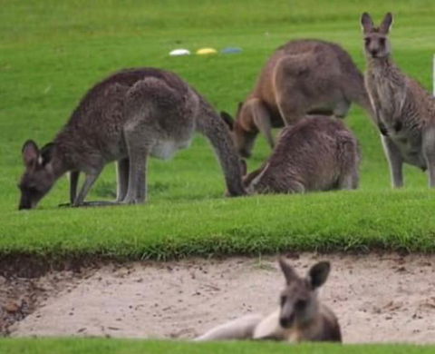 B & B On The Water - Accommodation Mt Buller 3