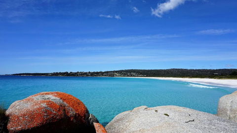 BAY OF FIRES BEACH SHACK Ocean Views From A Modern Beachhouse - Accommodation Mt Buller 3