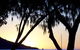 Maggies Beachfront Apartment 13 - thumb 4