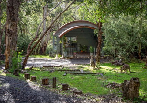A Heavenly Escape - Accommodation Mt Buller 0