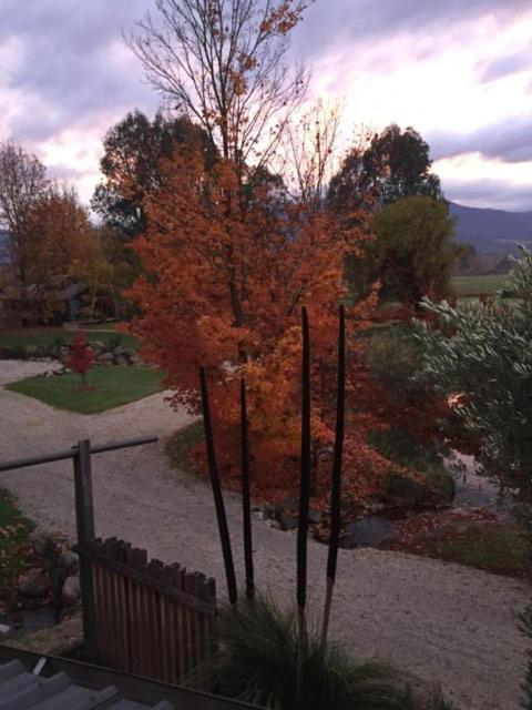 Eco Villa Mt. Beauty-Near Falls Creek & Bright - Accommodation Mt Buller 3