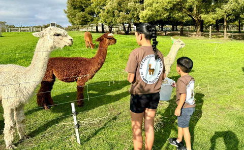 GORGE Chocolates Farmhouse - Accommodation Mt Buller 4