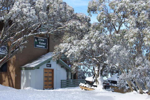 Alpine Retreat Mt Buller - Accommodation Mt Buller 0