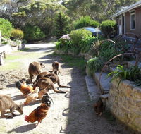 Anchorage Apartments - Accommodation Mt Buller